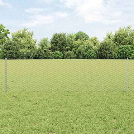 Udendørs sekskantet hegn med stolpe 50 x 0,6 m Sølv Mesh