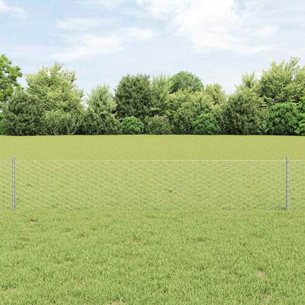 Udendørs sekskantet hegn med stolpe 100 x 0,4 m Sølv Mesh