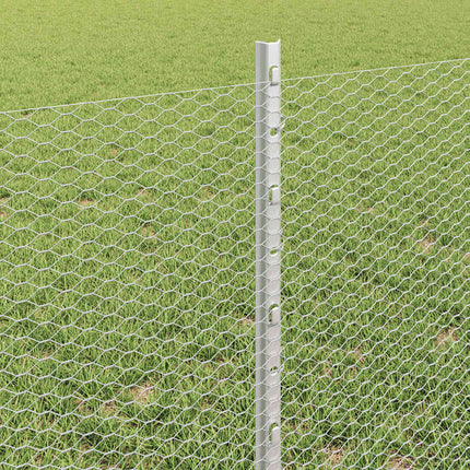 Sekskantet hegn med stolpe 100 x 0,6 m Galvaniseret stål Sølv