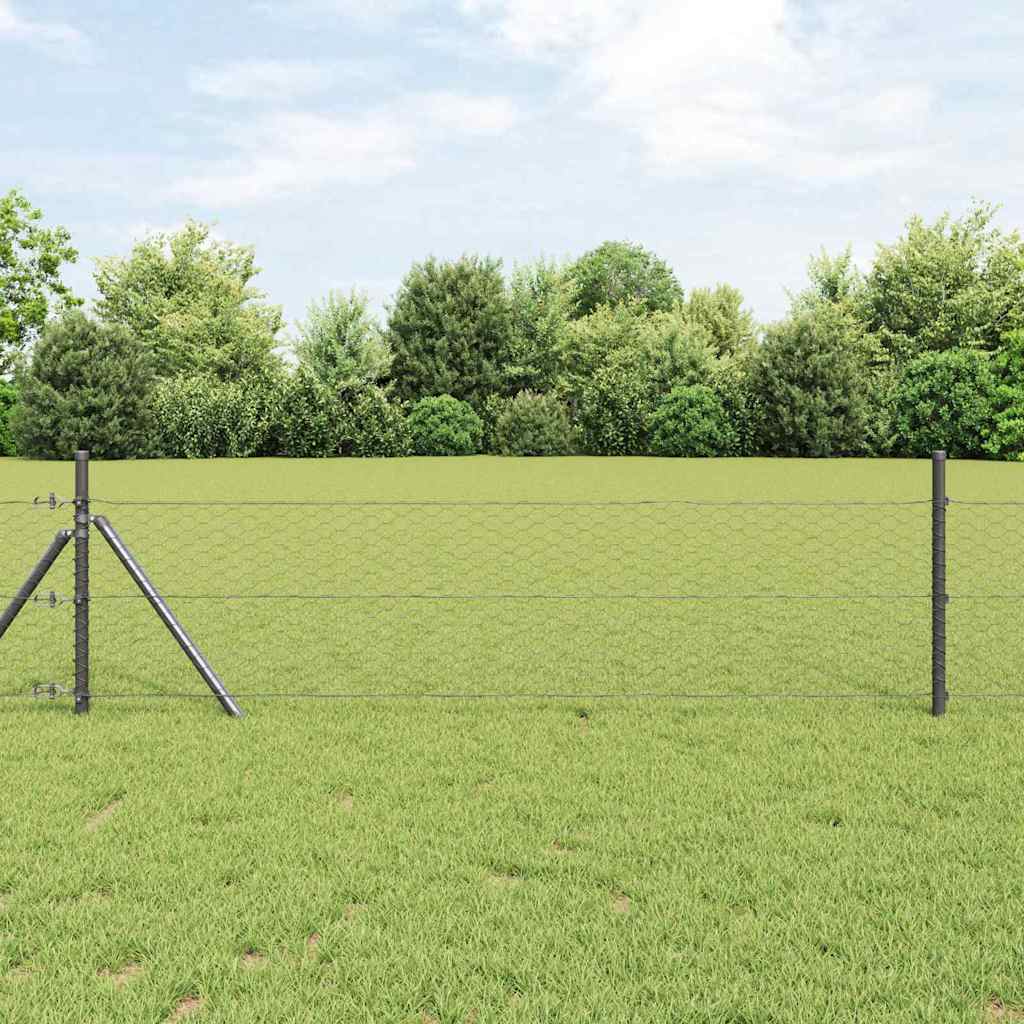 Hexagon Hegn Grå 0,5 x 10 m PVC
