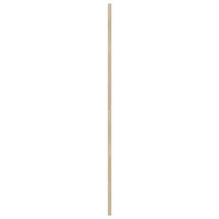 Skabsdør med dør 2 pcs Naturfarvet 140,5 x 2,1 x 59,5 cm