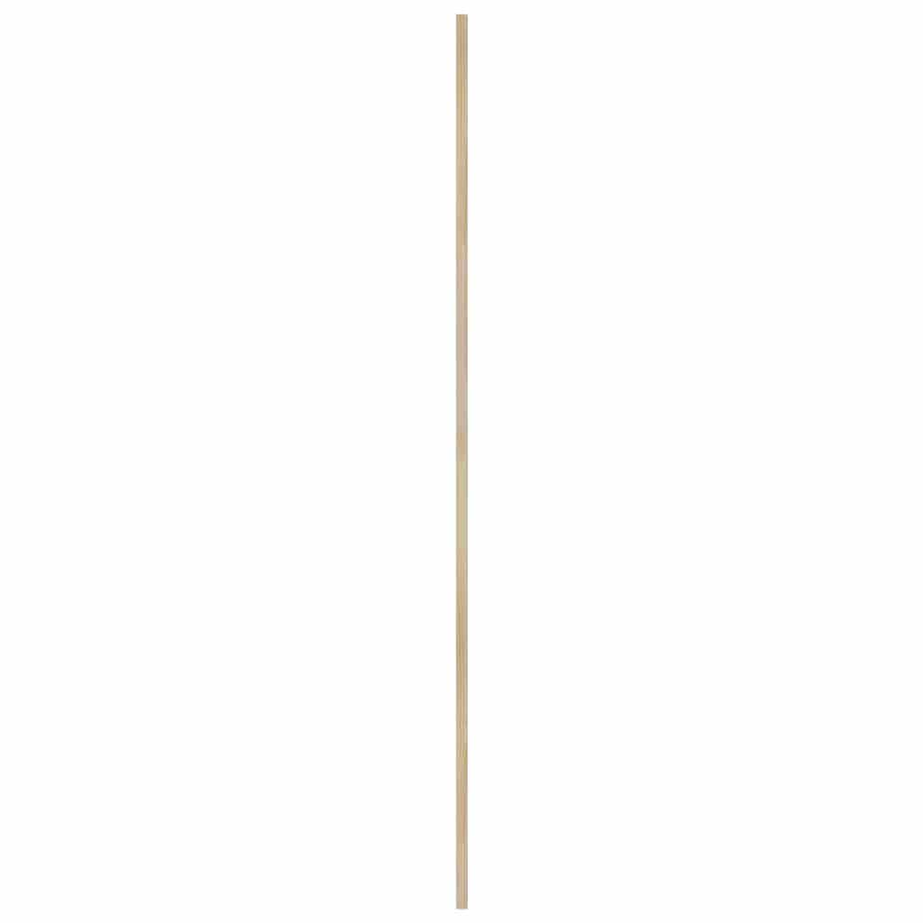 Skabsdør 2 pcs Naturfarvet 170 x 2,1 x 39,5 cm Massiv fyrretræ