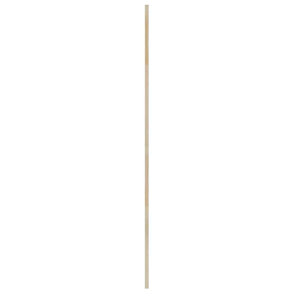 Skabsdør Naturfarvet 170 x 2,1 x 49,5 cm Massiv fyrretræ