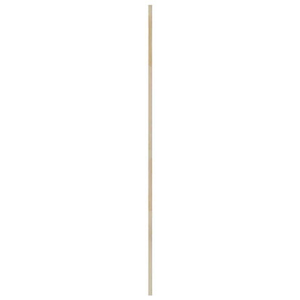 Skabsdør 2 pcs Naturfarvet 170 x 2,1 x 49,5 cm Massiv fyrretræ