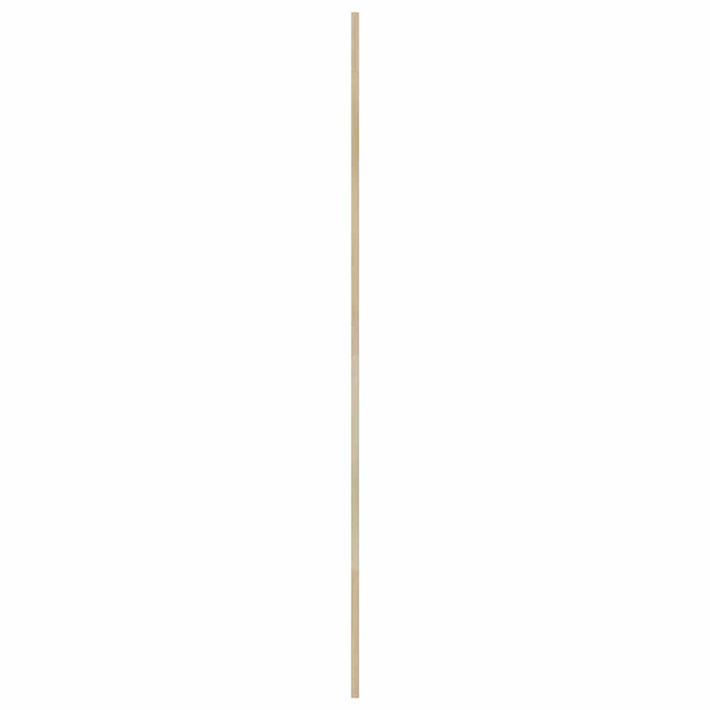 Skabsdør Naturfarvet 201 x 2,1 x 39,5 cm Massiv fyrretræ