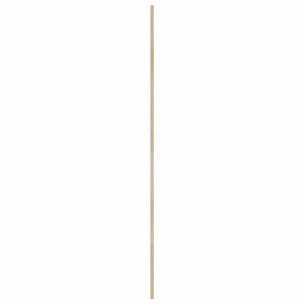Skabsdør 2 pcs Naturfarvet 201 x 2,1 x 39,5 cm Massiv fyrretræ