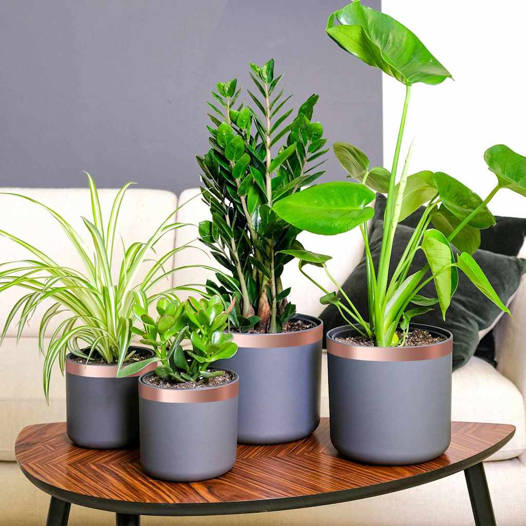 Kobberbånd til sneglebeskyttelse 6 pcs Kobber 30 mm x 20 m