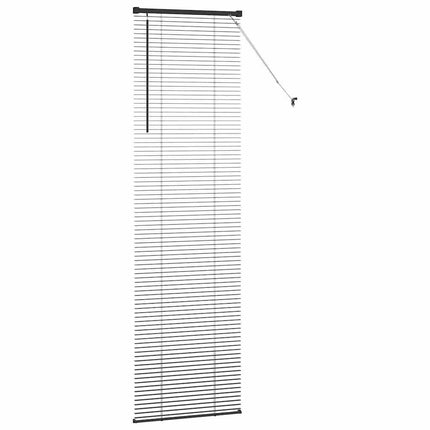 Persienner Sort 220 x 65 cm Aluminium