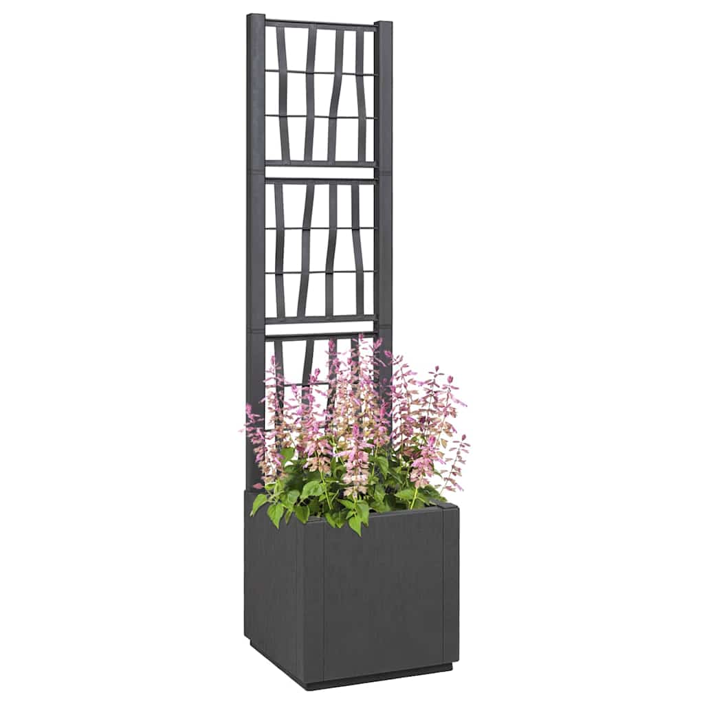 Have Blomsterkrukke Antracit 36 x 36 x 140 cm Polypropylen