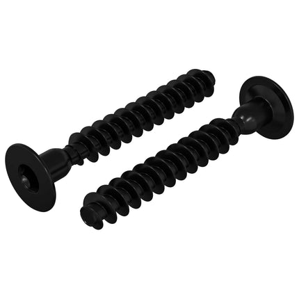 Stikhætte skrue 2 pcs Sort M5 x 40 mm Jern