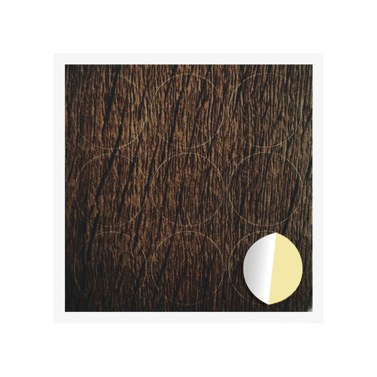 Klæbende Skrue Cover 12 pcs Brun eg Ø 20 x 0,5 mm Coated Papir