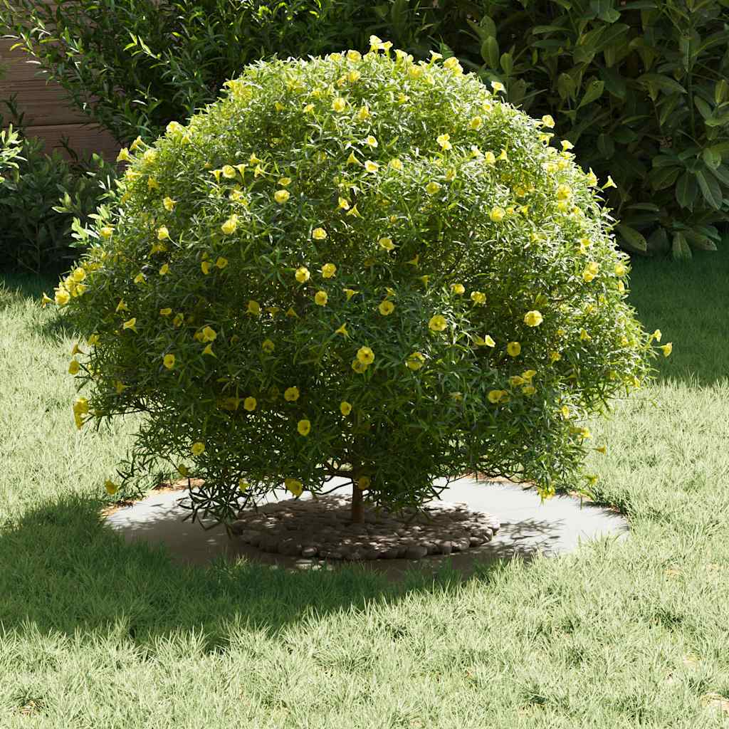 egnet til flade træริงe 5 pcs Hvid Ø30 / 60 cm Stål