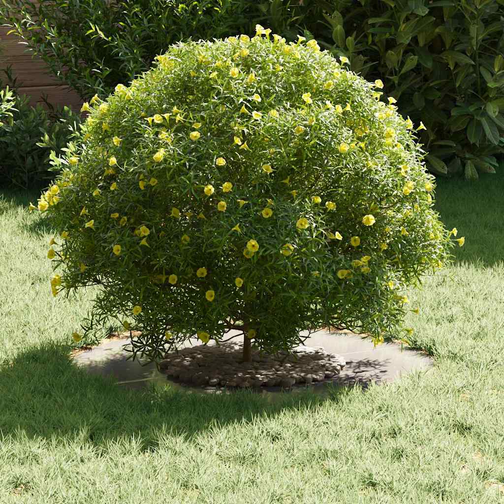 egnet til flade træริงe 5 pcs Sølv Ø30 / 60 cm Rustfrit stål