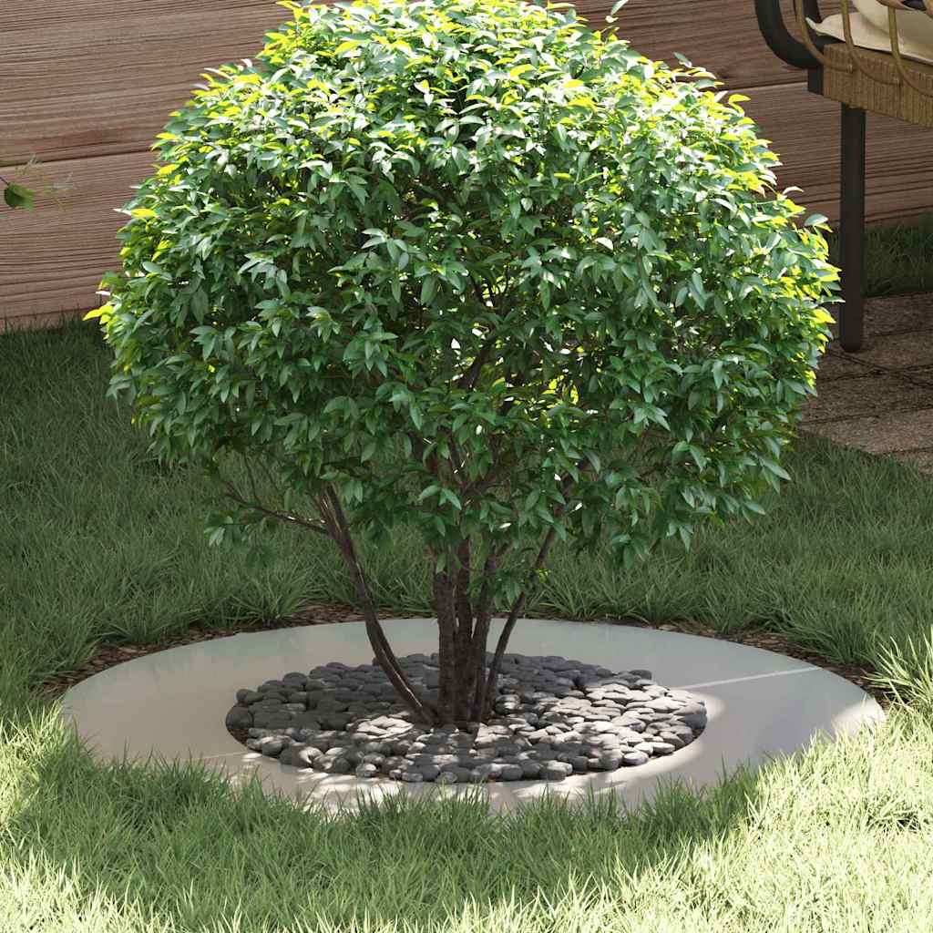 Galvaniseret Metalplantekasse Galvaniseret Galvaniseret Jern Stor