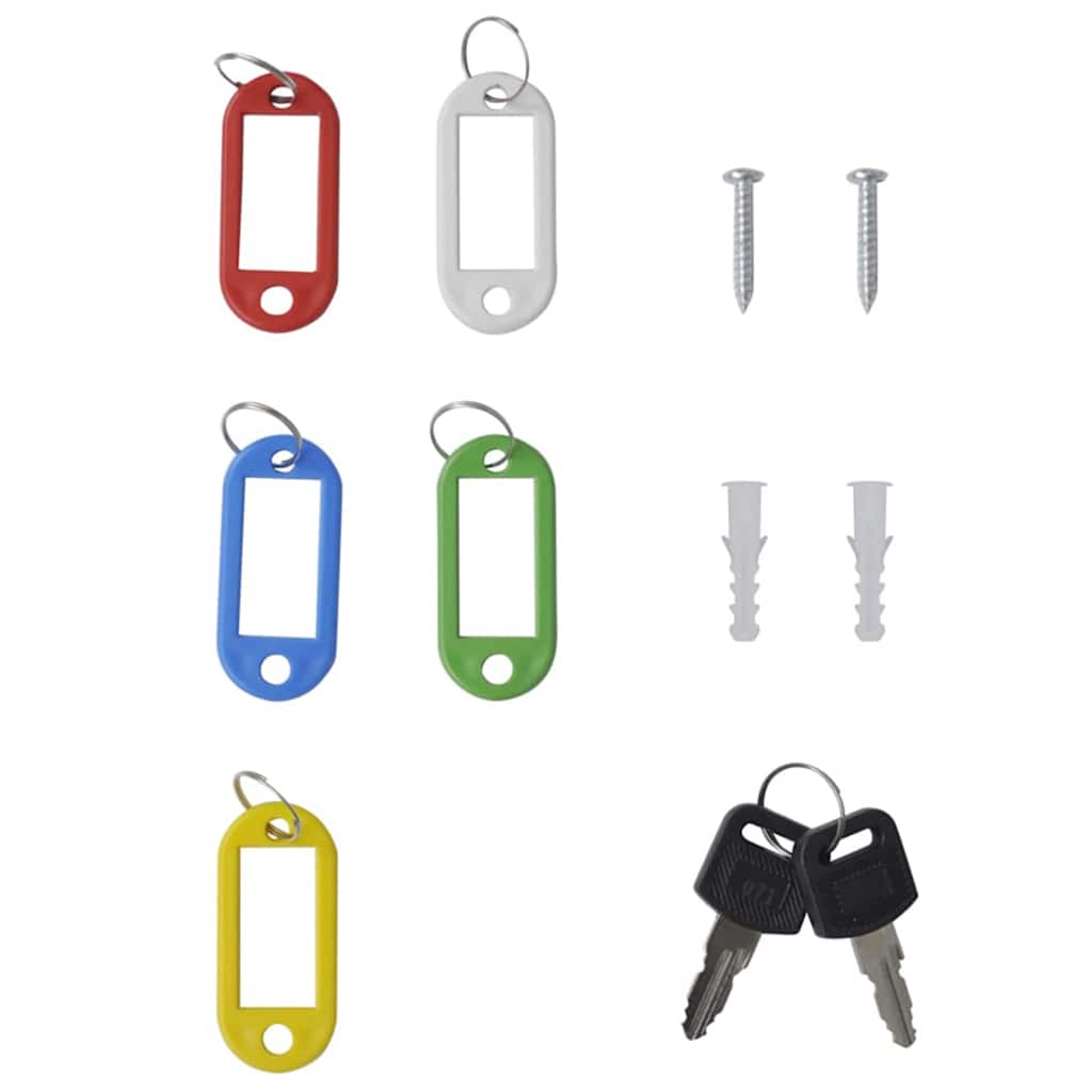 Nøgleboks med lås Hvid 20 x 7.5 x 25 cm Stål