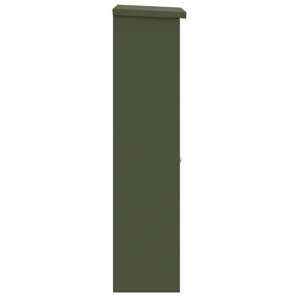 Pakke drop boks med dør Olivengrøn 44,5 x 29 x 110,5 cm Stål