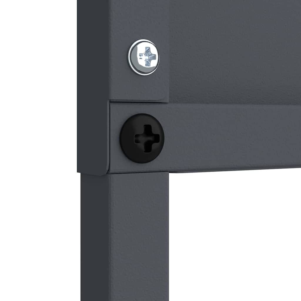 Have privatliv skærm Antracit 50 x 140 cm Koldvalset stål