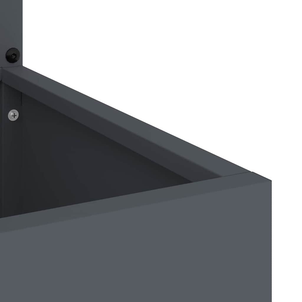 Have privatliv skærm Antracit 32 x 140 cm Koldvalset stål