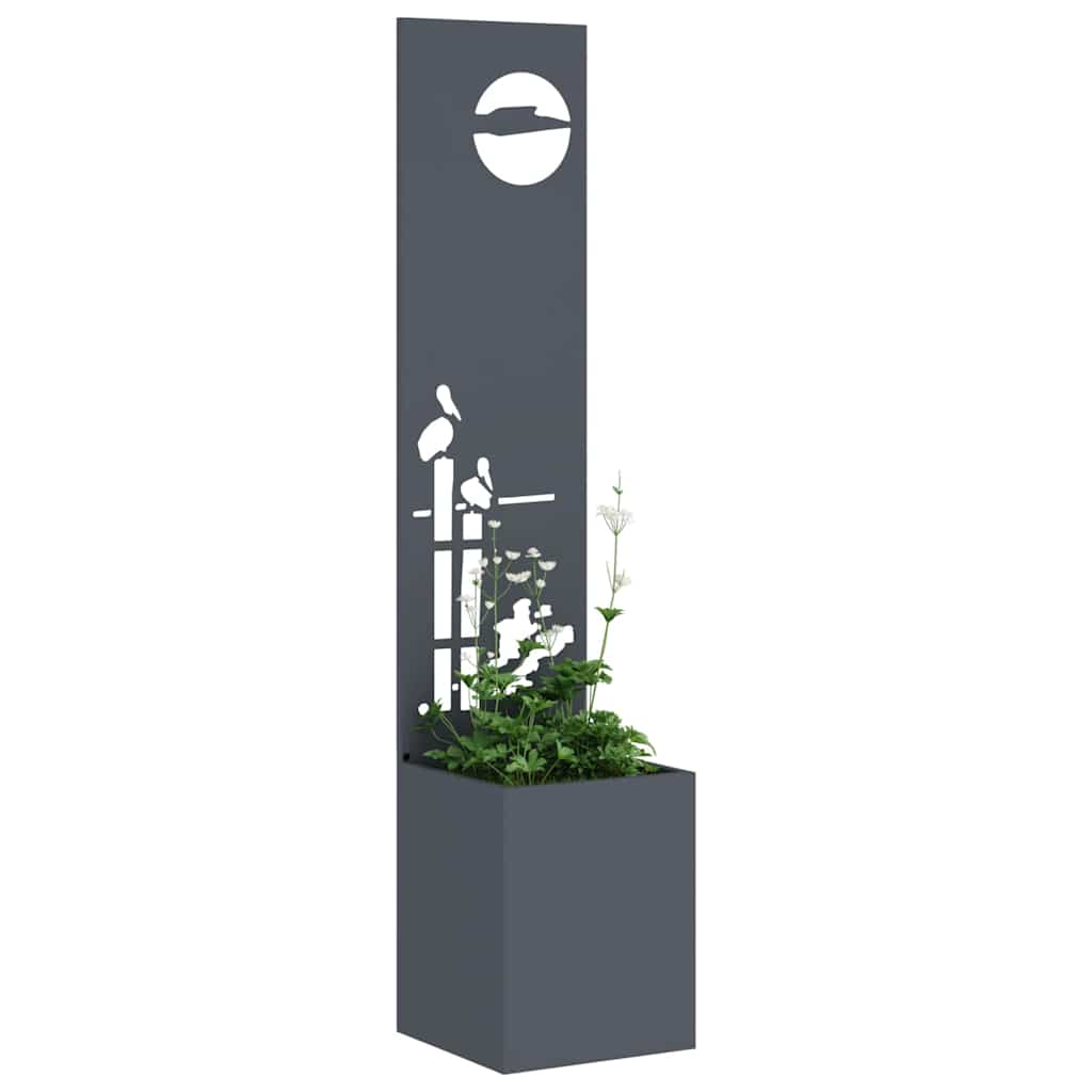 Have privatliv skærm Antracit 32 x 140 cm Koldvalset stål