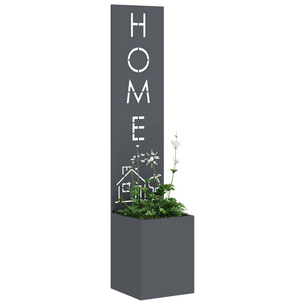 Have privatliv skærm Antracit 32 x 140 cm Koldvalset stål