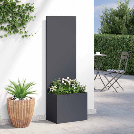 Have privatliv skærm Antracit 50 x 150 cm Koldvalset stål