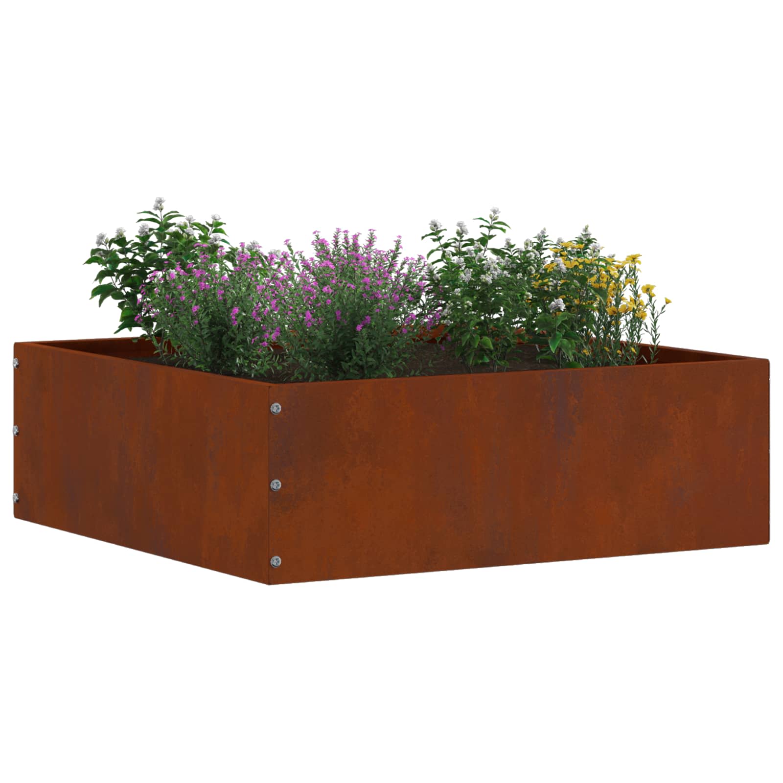 Plænekant 6 pcs Rusten 40 x 40 x 13 cm Cortenstål