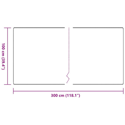 Tæppe Runner Lysegrå 100 x 300 cm 100% Polypropylen
