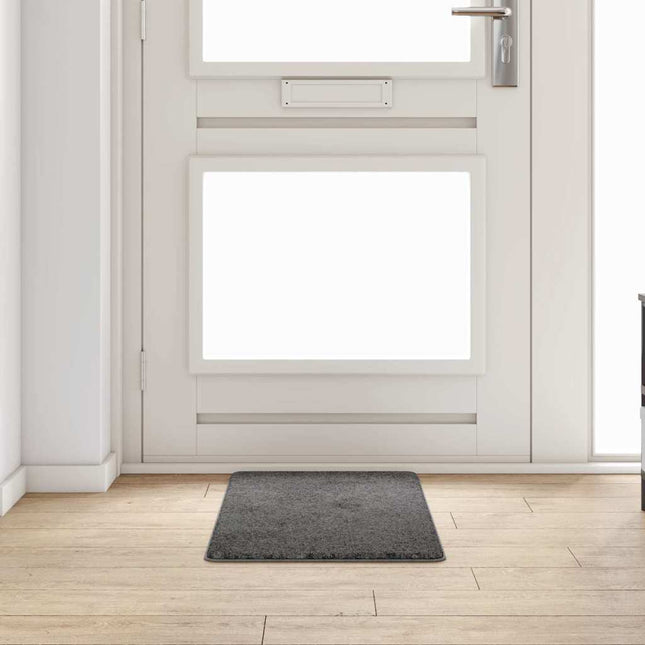Tæppe Runner Grå 50 x 100 cm 100% Polypropylen Tuft