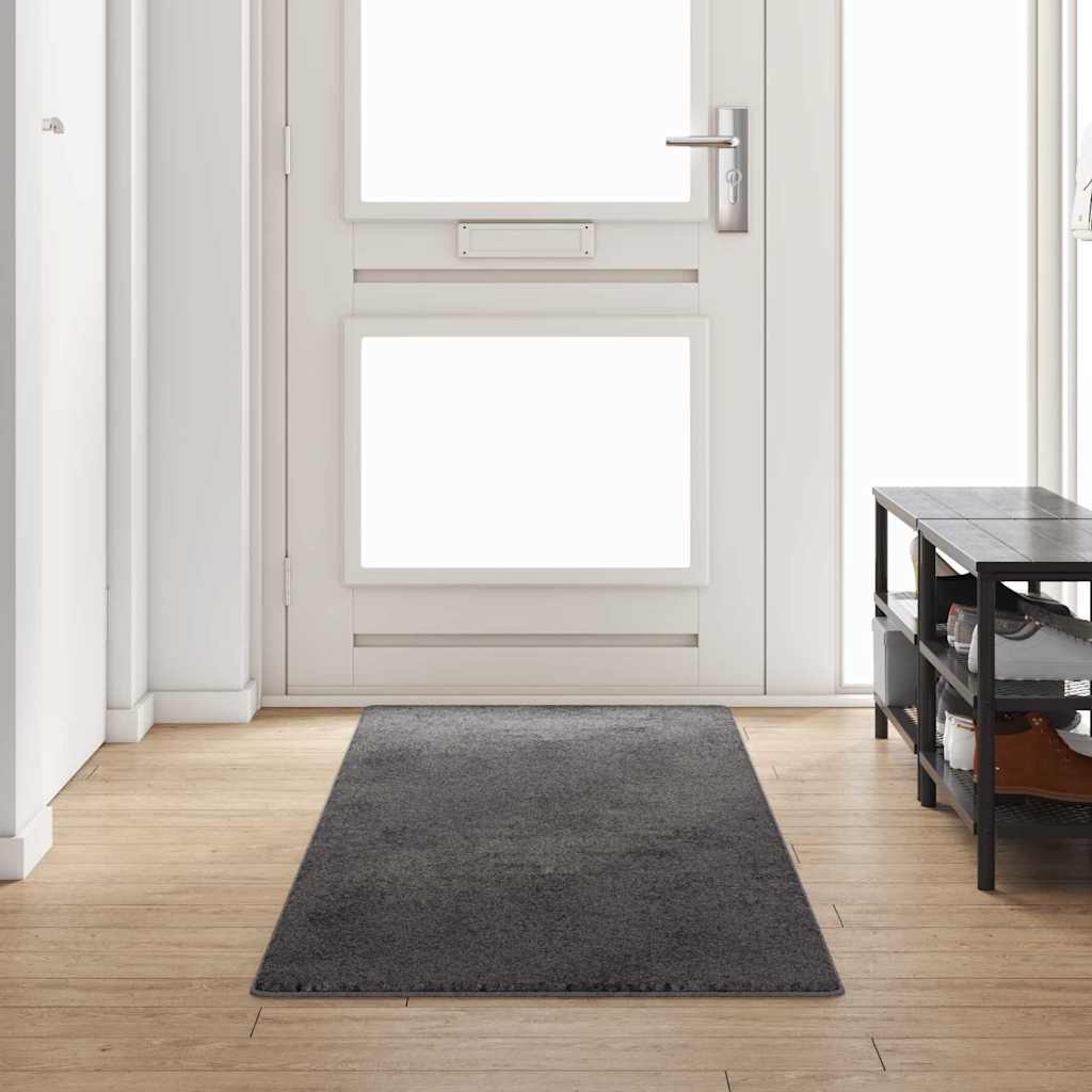 Tæppe Runner Grå 80 x 300 cm 100% Polypropylen Tuft