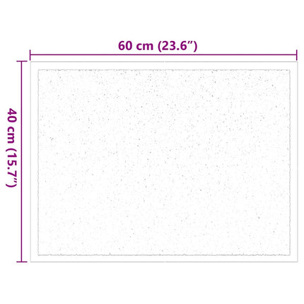 Dørmåtte Antracit 60 x 40 x 1.2 cm Teddy Stof