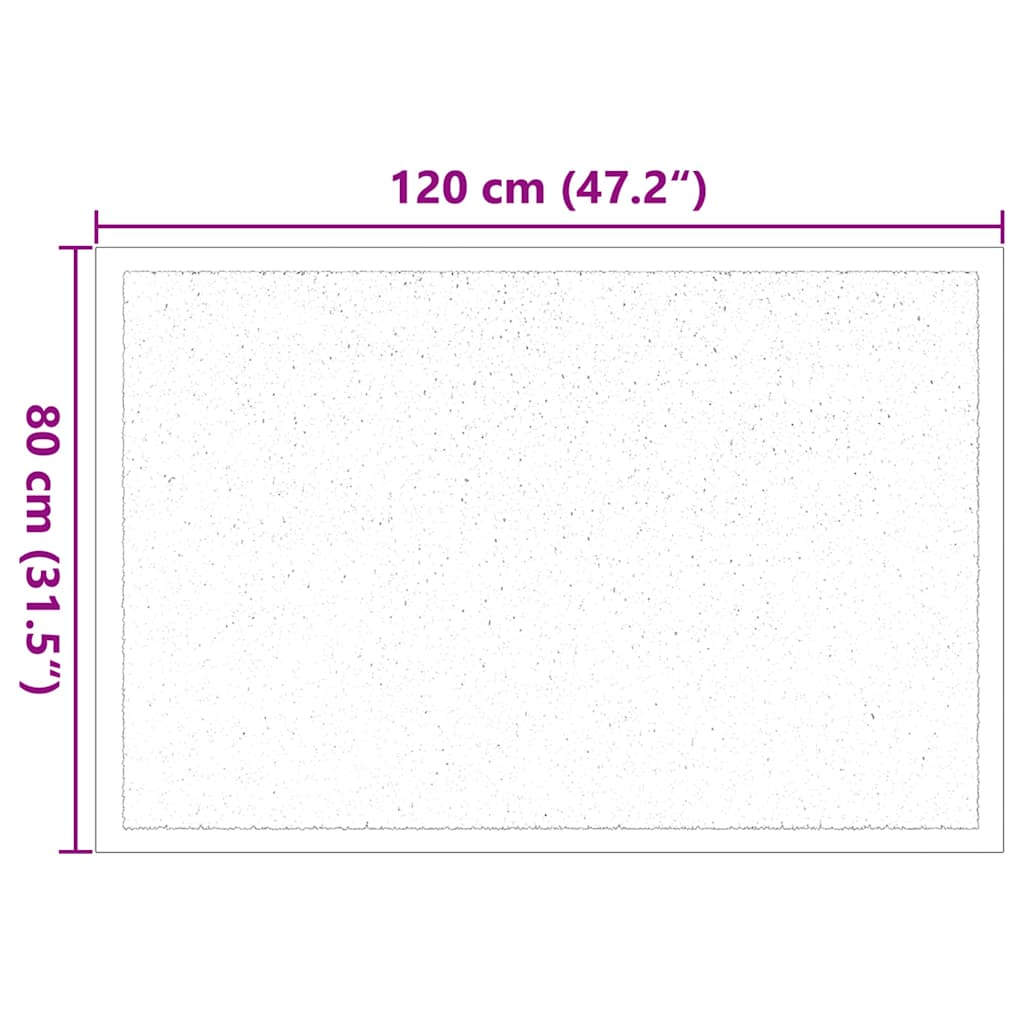Dørmåtte Antracit 60 x 40 x 1.2 cm Teddy Stof
