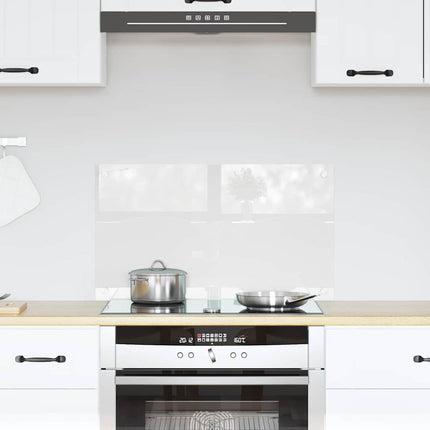 Køkkenbacksplash Transparent 70 x 40 cm hærdet glas