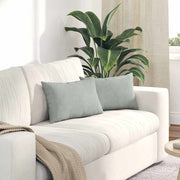 Sofapuder 2 pcs Lysegrå 50 x 30 cm Velourstof