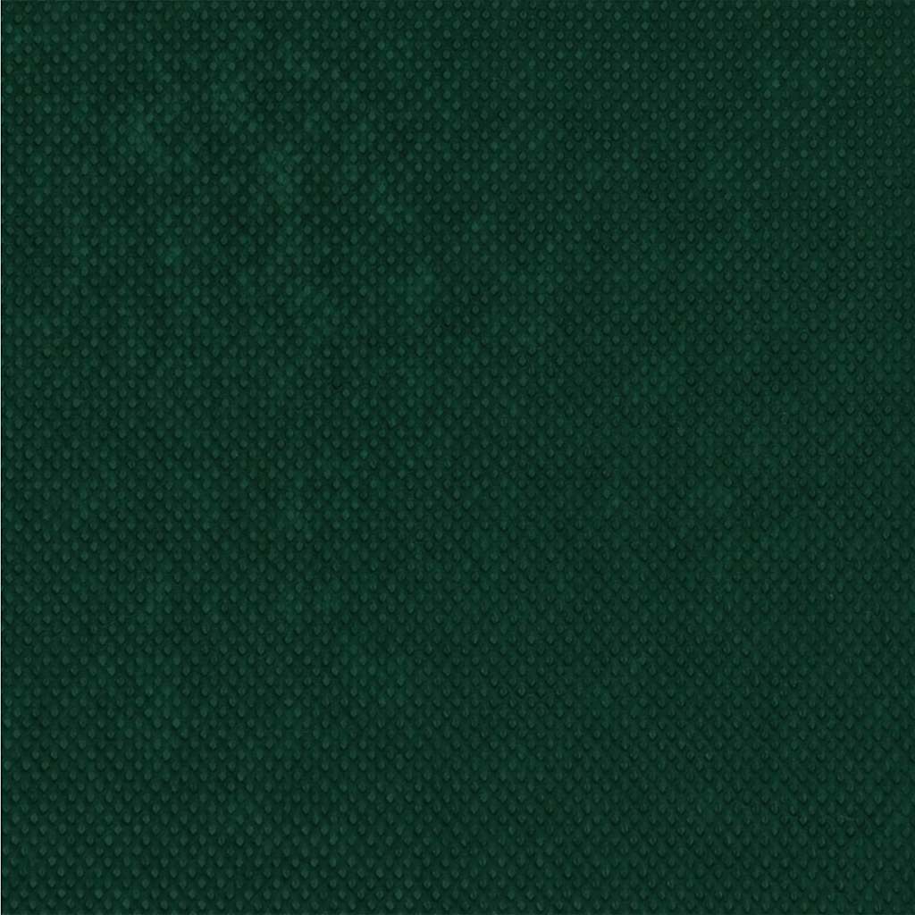 Frostbeskyttelsesplante fleece Grøn 100 x 1,6 m Non-woven stof