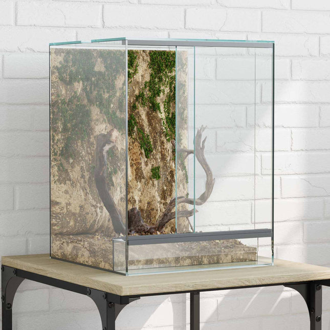 Terrarium med opbevaring Transparent 30 x 30 x 40 cm Glas