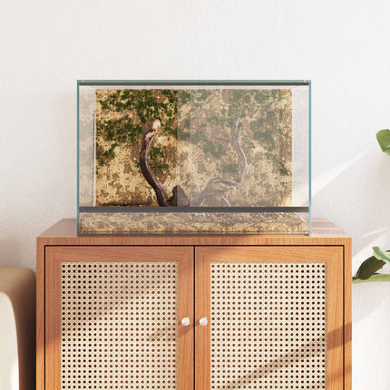 Terrarium med opbevaring Transparent 60 x 40 x 40 cm Glas