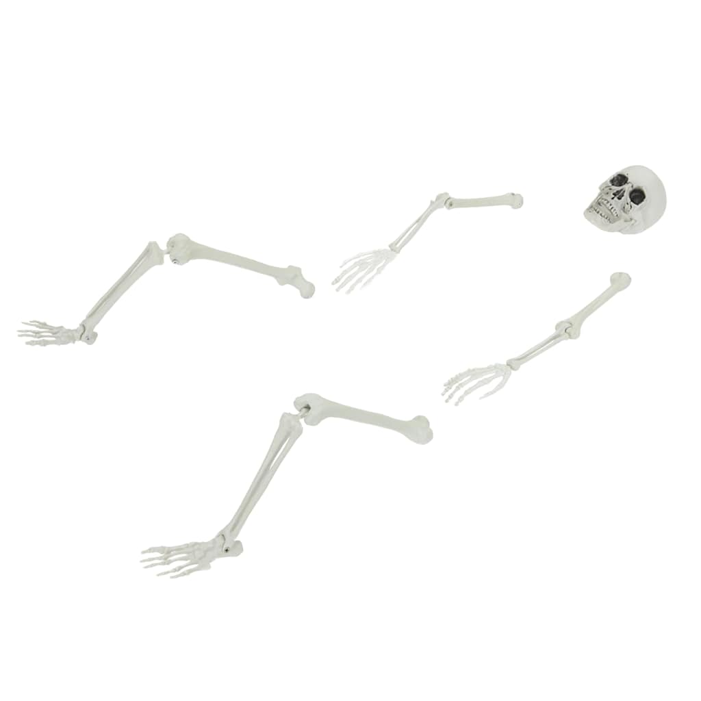 Halloween Skelet med Jordspidser Hvid 45,5 x 13 cm Polypropylen