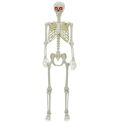 Halloween Skelet Hvid 155 x 38.5 cm Plastik
