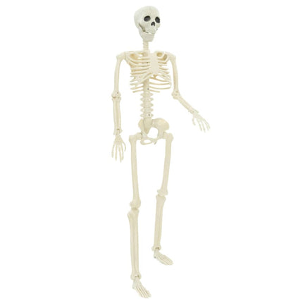 Halloween Skelet 2 pcs Hvid 85 cm PVC