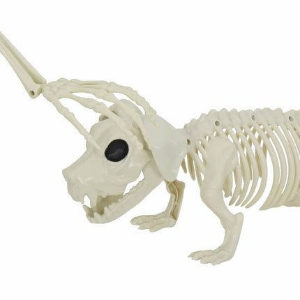 Halloween Dekoration Skelet 2 pcs Hvid Polypropylen