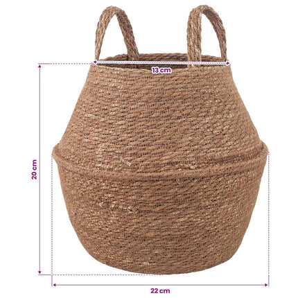 Plantekrukke med håndtag 2 pcs Naturfarvet Ø 22 x 20 cm