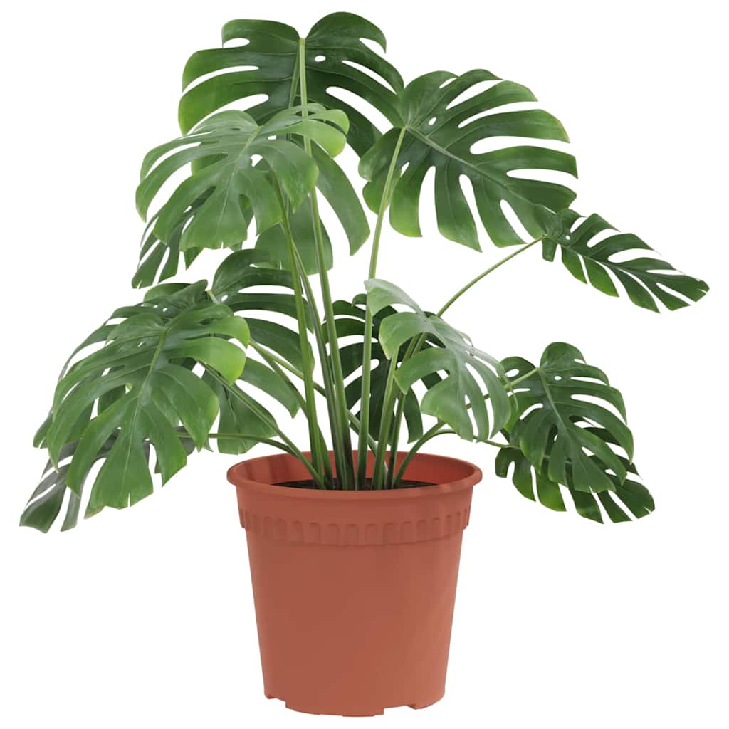 Rund Blomsterpotte 6 pcs Mursten Rød Ø 17 x 14 cm Plastik
