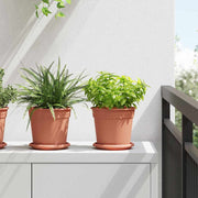 Rund Blomsterpotte 24 pcs Mursten Rød Ø 17 x 14 cm Plastik