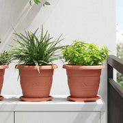 Rund Blomsterbakke 6 pcs Mursten Rød Ø 17,5 x 2 cm Plastik