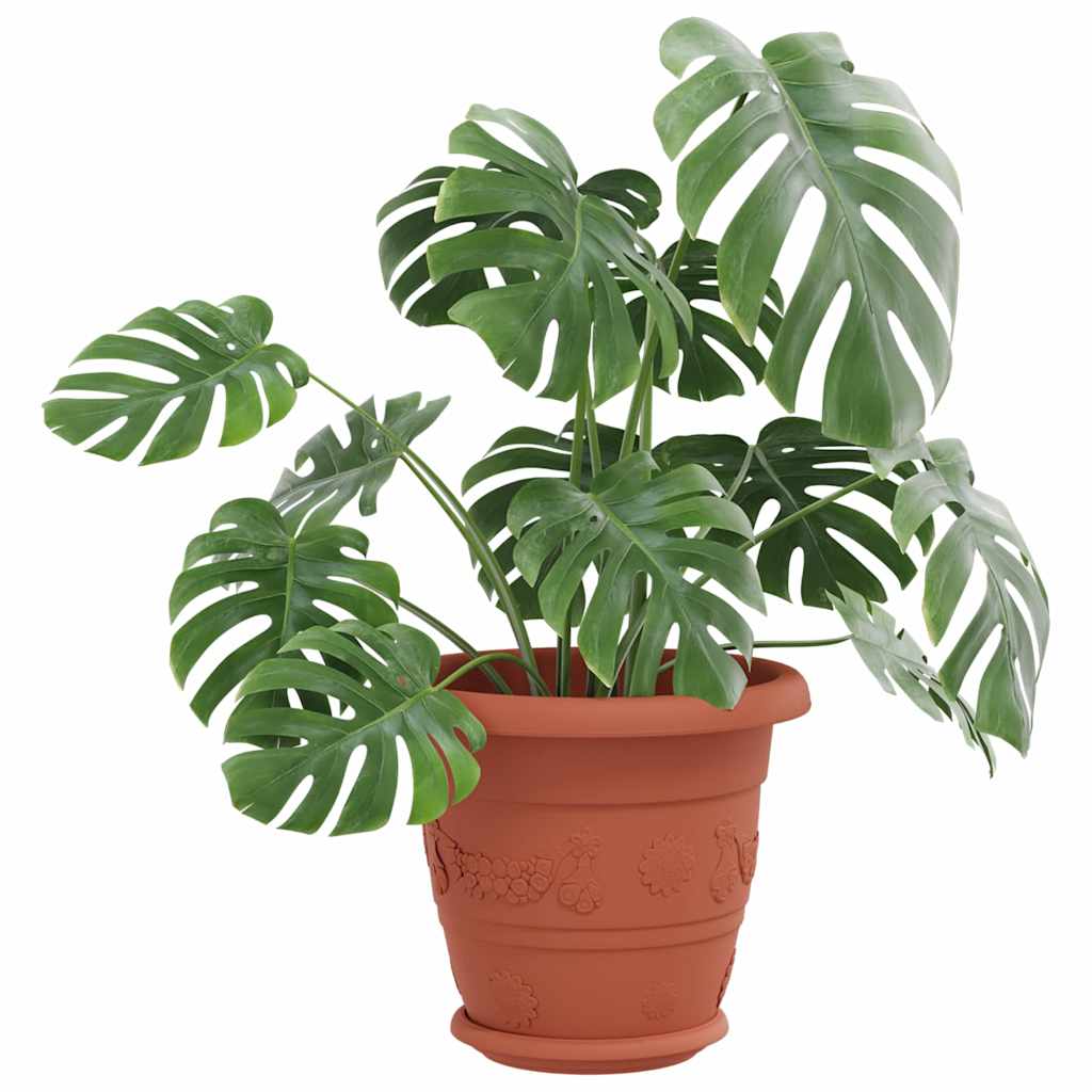 Rund Blomsterbakke 6 pcs Mursten Rød Ø 17,5 x 2 cm Plastik