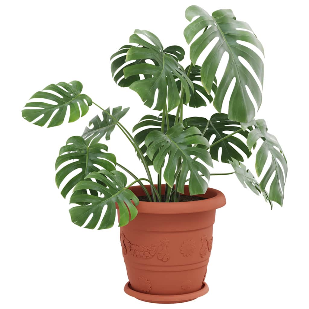 Rund Blomsterbakke 6 pcs Mursten Rød Ø 21,5 x 2,5 cm Plastik