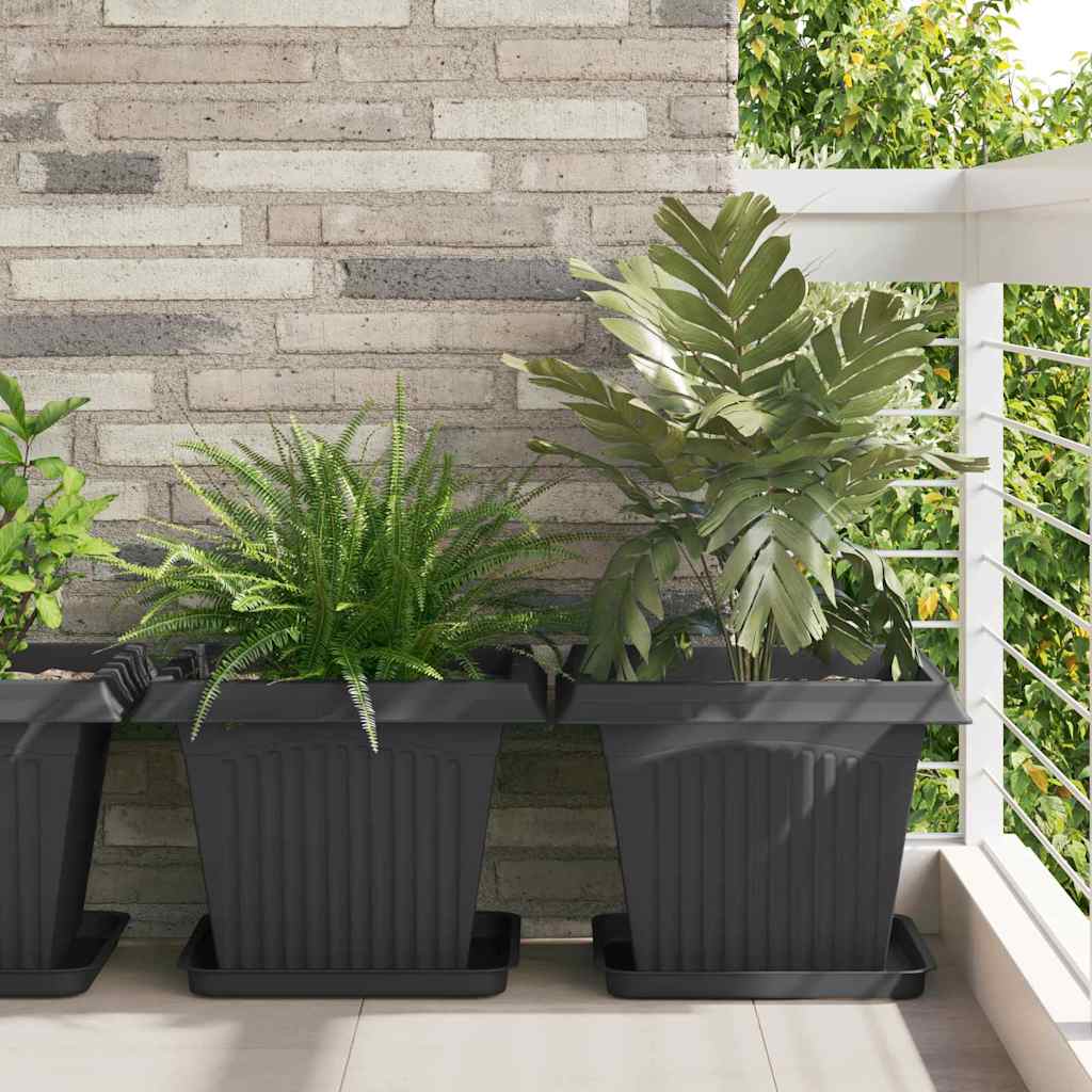 Firkantet Blomsterbakke 6 pcs Sort 36 x 36 x 2.5 cm Plastik
