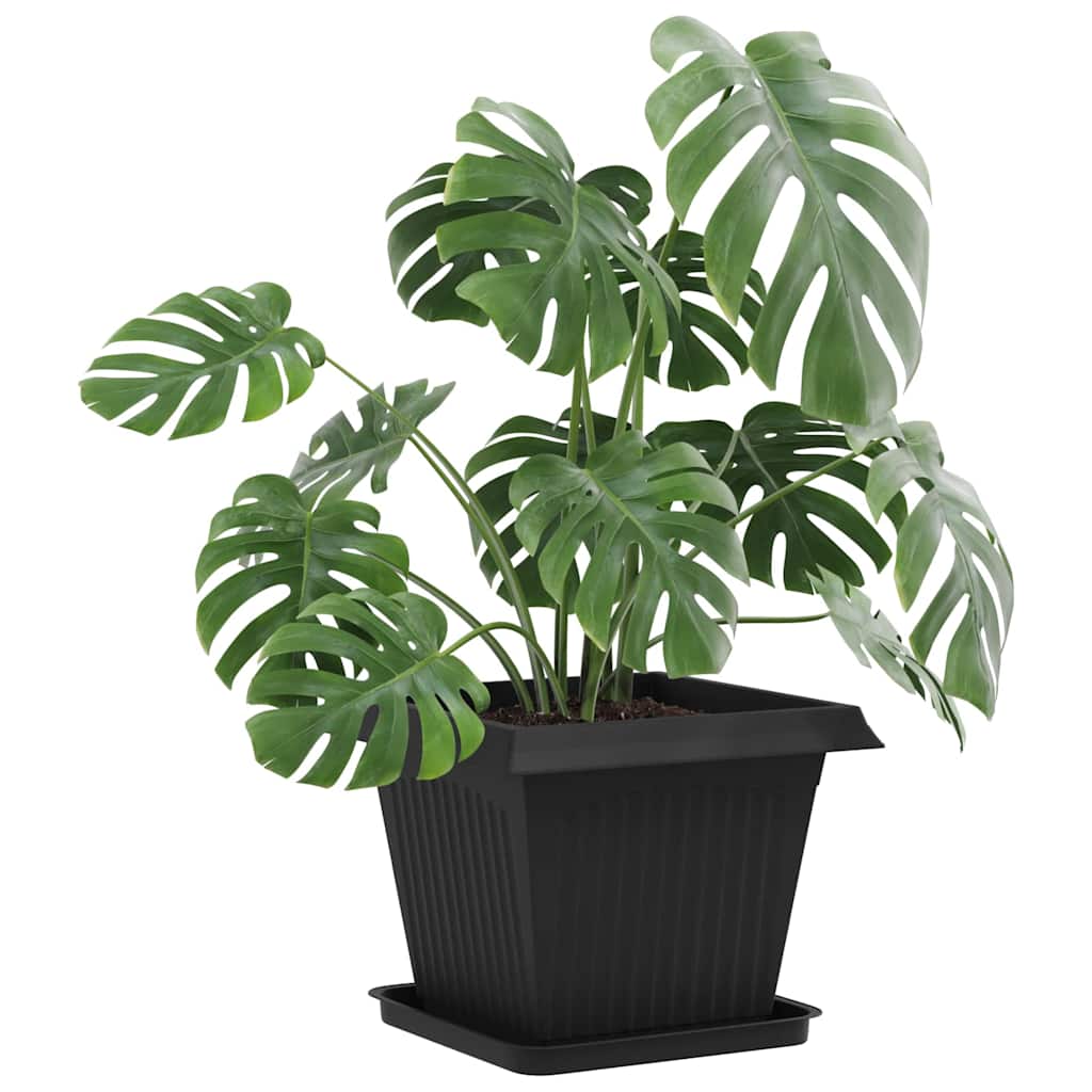 Firkantet Blomsterbakke 6 pcs Sort 36 x 36 x 2.5 cm Plastik
