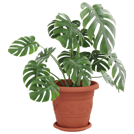 Plantepotter 6 stk. Mursten Rød Ø 26 x 21.5 cm Plastik