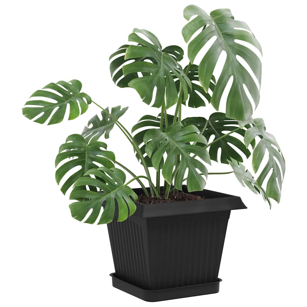 Plantepotter 6 pcs Sort 20 x 20 x 16 cm Plastik